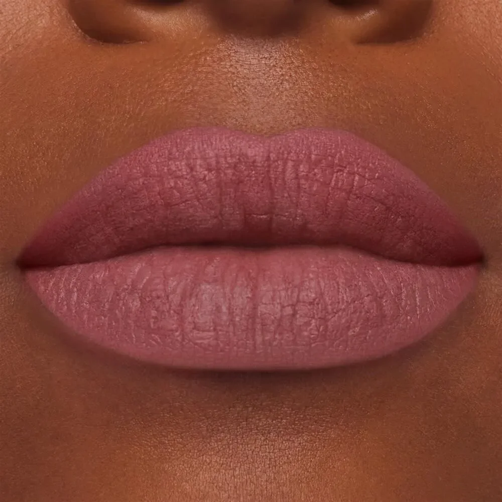 855 Risk It All -Estée Lauder Pure Color Long-Lasting Matte Lipstick for Women